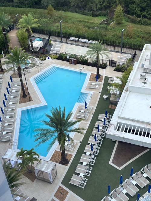 Aerial view of a pool area with palm trees, lounge chairs, and a landscaped garden.