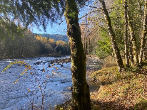 A serene river flows beside a forest, with trees lining the bank and autumn foliage in the background.