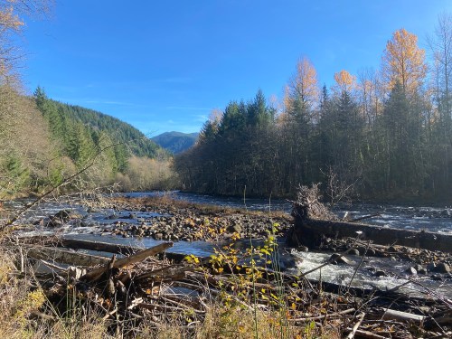 A serene river flows through a forested landscape with autumn trees and mountains in the background under a clear blue sky.