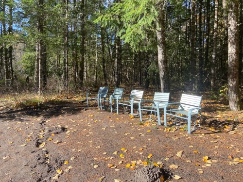 Four metal chairs lined up on a forest path, surrounded by trees and scattered autumn leaves.