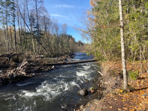 A flowing river surrounded by trees and autumn foliage, with a fallen log across the water.