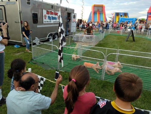 A crowd watches a pig race at a fair, with children and adults cheering as pigs run in a fenced area.