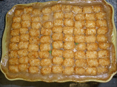 A casserole dish filled with golden-brown tater tots arranged in a grid over a creamy sauce.