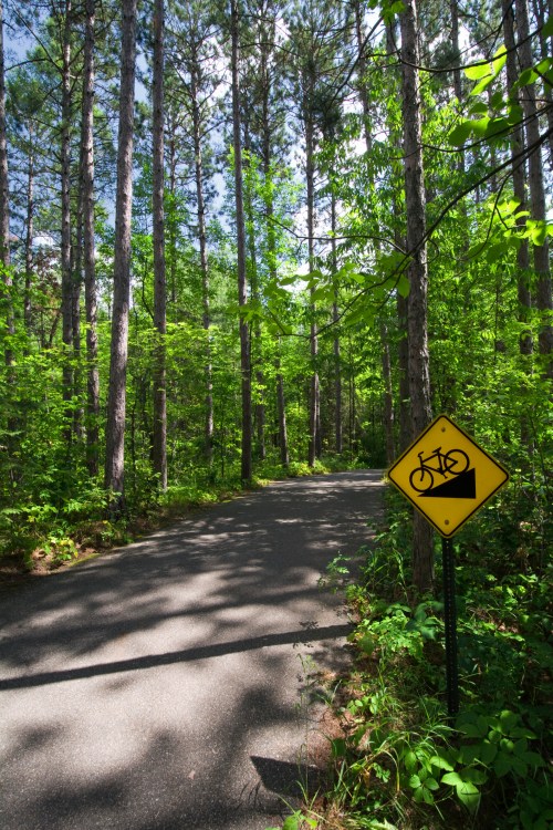 A winding path through a lush green forest, with a bike warning sign indicating a turn ahead.