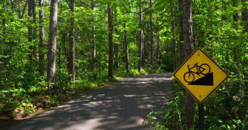 A winding road through a lush green forest, featuring a bicycle warning sign for an incline ahead.