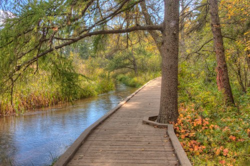A wooden pathway winds alongside a serene stream, surrounded by lush greenery and autumn foliage.