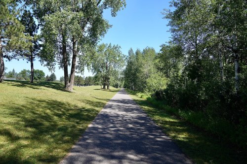 A paved path winds through a lush green park, lined with trees under a clear blue sky.