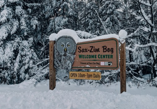 Sign for Sax-Zim Bog Welcome Center, featuring an owl illustration, surrounded by snow-covered trees. Open daily 10am-3pm.