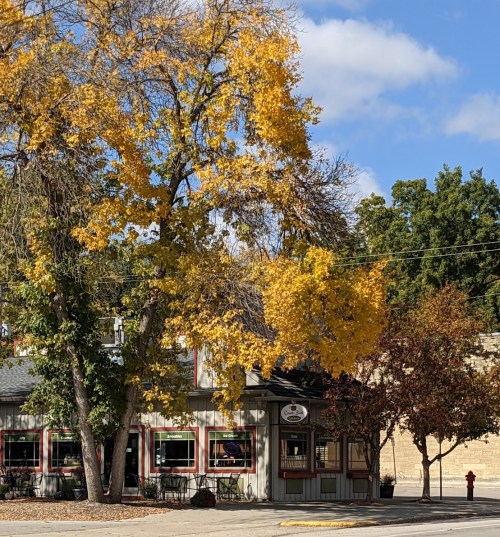 A quaint restaurant with a gray exterior, surrounded by colorful autumn trees under a partly cloudy sky.