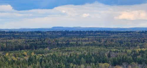 A panoramic view of a lush forest landscape under a cloudy sky, with rolling hills in the distance.