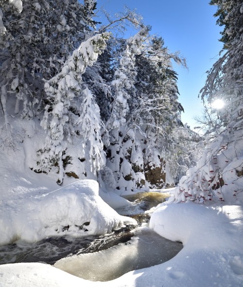 A serene winter scene with a flowing river surrounded by snow-covered trees and bright blue skies.