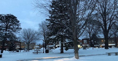 A snowy park scene at dusk, featuring tall trees and a quiet pathway lined with benches.