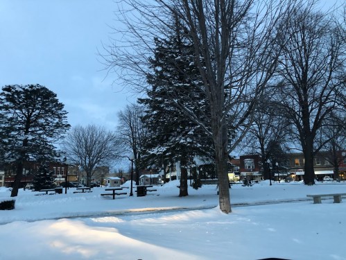 A snowy park scene at dusk, featuring bare trees and a quiet atmosphere with buildings in the background.