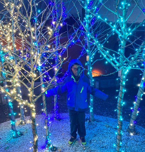 A child in a blue jacket stands among illuminated trees with blue and white lights in a festive setting.