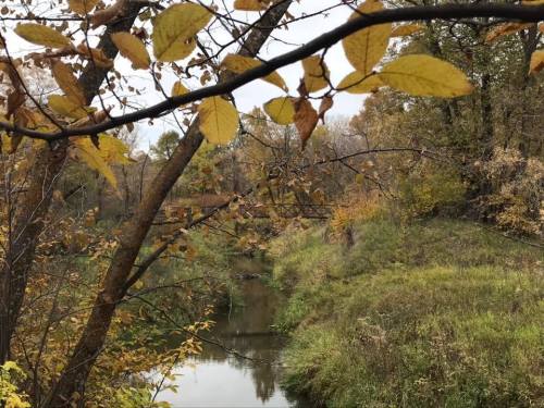 A serene river scene framed by autumn leaves, showcasing vibrant fall colors and lush greenery along the banks.
