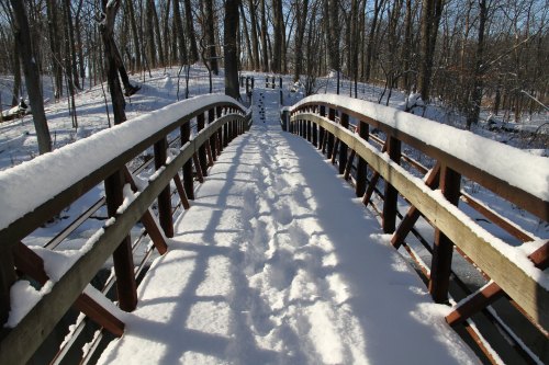A snow-covered wooden bridge leads through a winter forest, with footprints visible in the fresh snow.