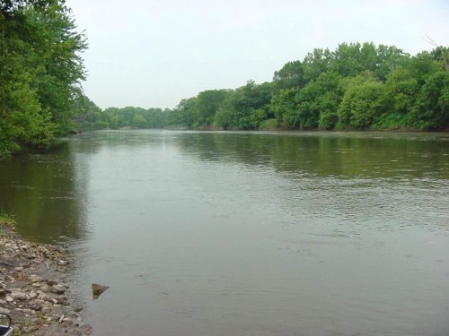 A calm river flows through a lush green landscape, with trees lining the banks under a cloudy sky.