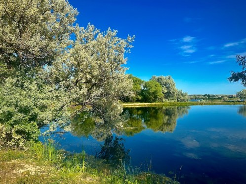 A serene lake surrounded by lush trees, reflecting a clear blue sky and vibrant greenery.