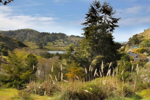 A scenic view of lush greenery, tall grasses, and a calm lake surrounded by hills under a clear blue sky.