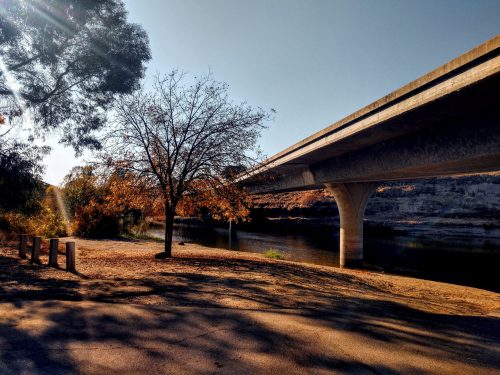 A serene riverside scene featuring a tree, a bridge overhead, and autumn foliage under a clear blue sky.