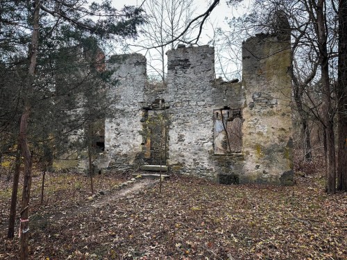 Ruins of a stone building surrounded by trees and overgrown vegetation in a wooded area.