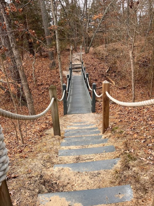 A wooden bridge with rope railings spans a wooded area, surrounded by autumn leaves and trees.