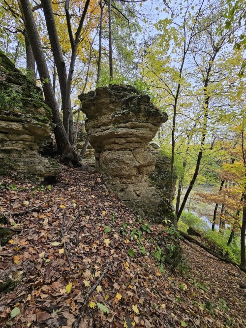 A rocky outcrop surrounded by trees and autumn leaves, with a river visible in the background.