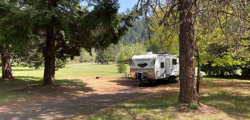 A parked RV surrounded by tall trees in a sunny, green campsite.