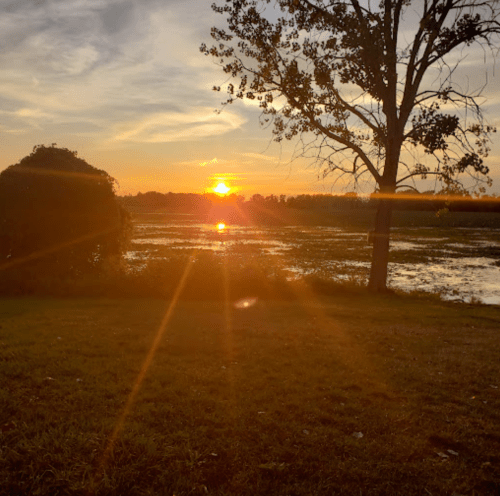 A serene sunset over a calm lake, with a silhouette of a tree and warm orange and yellow hues in the sky.