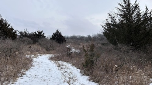 A snowy path winds through a sparse, winter landscape with scattered trees and shrubs under a cloudy sky.