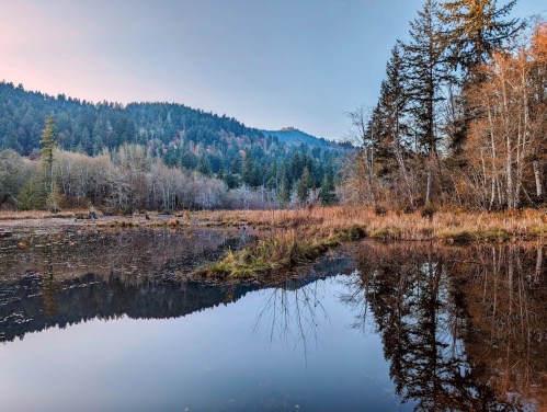 A serene wetland scene with trees reflecting in calm water, surrounded by mountains and autumn foliage.