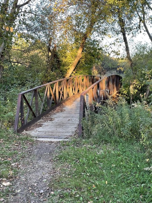 A wooden bridge with a metal frame spans a small creek, surrounded by trees and greenery in warm evening light.
