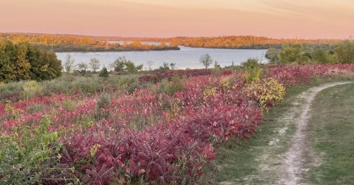 A scenic view of a river surrounded by colorful autumn foliage and a winding dirt path.