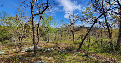 A scenic view of a forested landscape with trees, rocks, and a blue sky dotted with clouds.