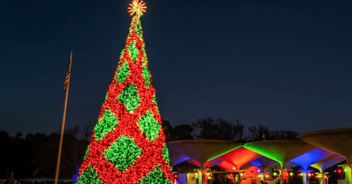 A brightly lit Christmas tree adorned with red and green lights, set against a night sky.