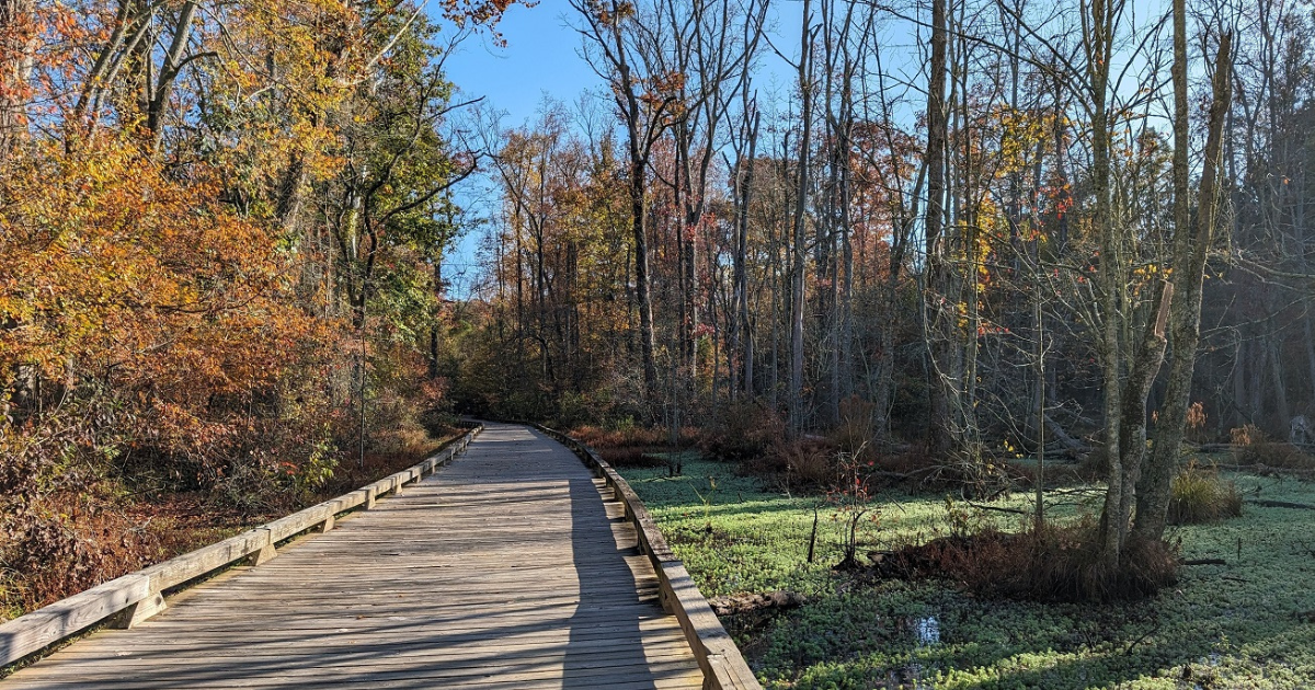 Big Creek Greenway Alpharetta, GA Is Great For Walking & Biking