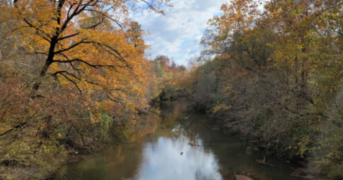 A serene river surrounded by trees with vibrant autumn leaves under a partly cloudy sky.