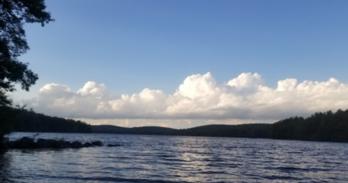 A serene lake scene with calm water, surrounded by trees and fluffy clouds in a blue sky.