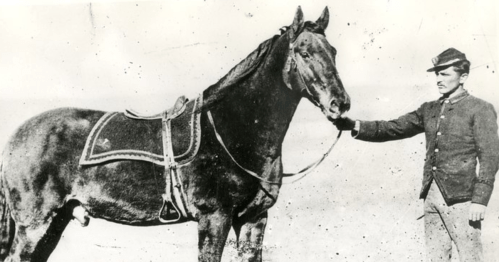 A soldier in uniform stands beside a saddled horse, both looking towards the camera in a historical black-and-white photo.