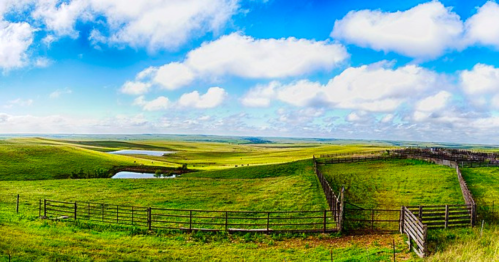 A panoramic view of lush green fields under a blue sky with fluffy clouds, featuring a small pond and wooden fences.