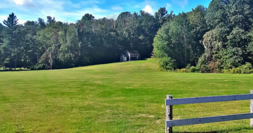 A lush green field with a small house in the distance, surrounded by trees under a clear blue sky.