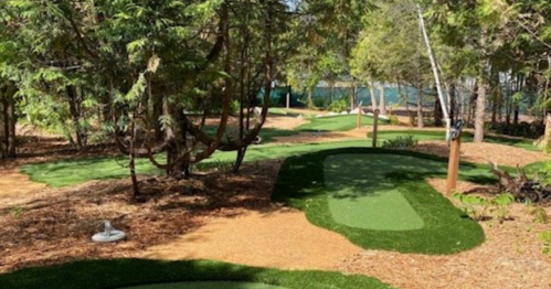 A lush, green mini-golf course surrounded by trees and natural landscaping.