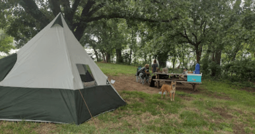 A camping scene with a tent, picnic table, and people enjoying the outdoors, with a dog nearby under trees.