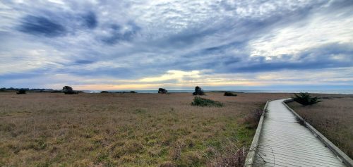 A wooden boardwalk leads through tall grass to a serene beach under a cloudy sky at sunset.