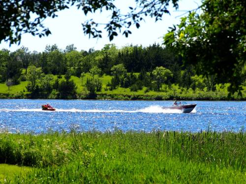 A sunny lake scene with a boat towing a person on a jet ski, surrounded by lush green trees and grass.