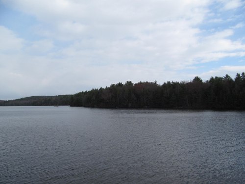 A calm lake surrounded by trees under a cloudy sky, reflecting the serene landscape.
