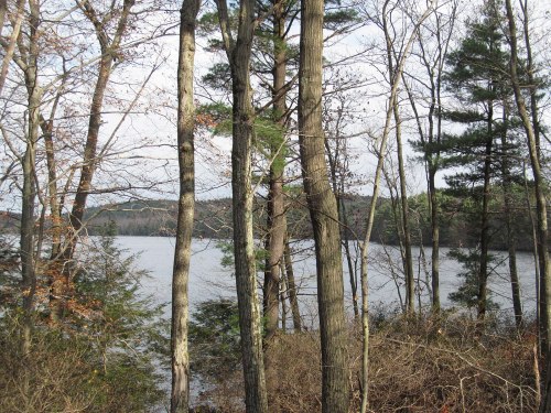 A serene lake surrounded by trees, with a cloudy sky above and distant hills in the background.