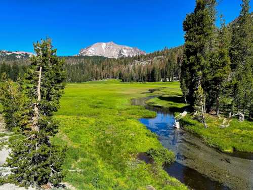 A serene landscape featuring a green meadow, a winding stream, and mountains under a clear blue sky.