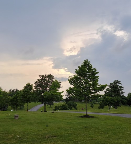 A serene landscape featuring green trees under a cloudy sky with a hint of sunlight peeking through.