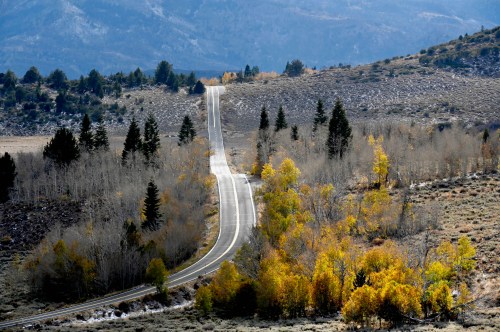 A winding road through a landscape of trees with autumn foliage and mountains in the background.